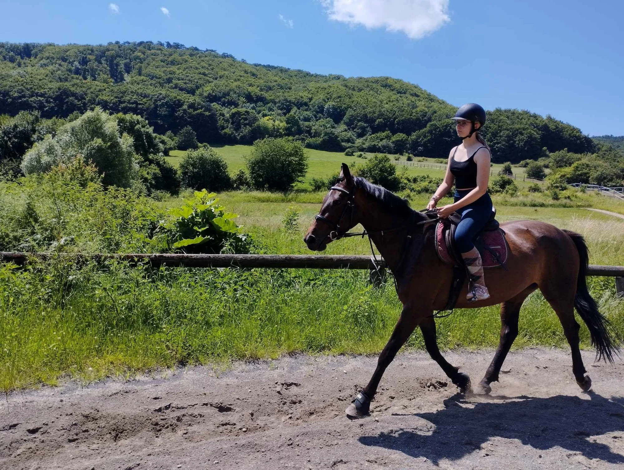 Jazdecká škola